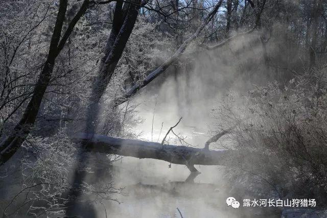 同岁不过百天结婚好吗？游戏画面